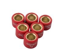 Set di rulli variatori di scooter 16x13mm 4g 4,5g 5g 5,5g 6g 7g compatibile con 50cc dio sp - sfx sj bali sh visione piombo srx x8r(16x13mm 7g)