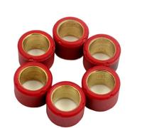 Set di rulli variatori scooter 16x13mm 4g 4,5g 5,5g 6g 7g compatibile con motori 4t da 50 cc adatto ad agilità 50 dj s puledra persone super 8 vitality yager gt e simili Modelli(16x13mm 7g)
