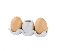 Set di saliera e pepiera, set creativo in ceramica per sale e pepe, mini shaker marrone a forma di uovo con supporto in cartone, set in ceramica a forma di uovo, decorazione per cucina, casa, tavolo