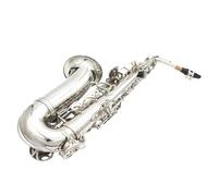Set di sassofono contralto in Mib con chiave argentata strumenti a fiato inclusa custodia per il trasporto bocchino spazzola per la pulizia accessori Kit Sassofono