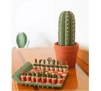 Set di scacchi con cactus stampati in 3D, portatile, arrotolabile, da viaggio, con 32 pezzi di design di piante grasse, divertente gioco di scacchi per gli amanti delle piante (#01)