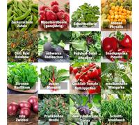 Set di semi vegetali "indoor mix" - semi perfetti (100% semi naturali) per balcone, serra, appartamento, terrazza, davanzale - tasso di germinazione quasi al 100