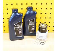 Set Di Servizio Cambio Olio BMW Advantec Ultimate 5W40 Per: BMW G310 R GS Da 20