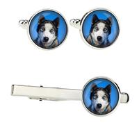Set Di Siberian Husky Con Fermagli In Una Scatola Con Immagine. Art-Dog