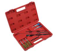 Set Di Spazzole Per Pulizia Sealey Injector Bore 14 Pezzi VS1900