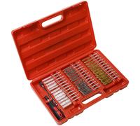 Set Di Spazzole Per Pulizia Sealey VS1910 38 Pezzi Iniettore Bore