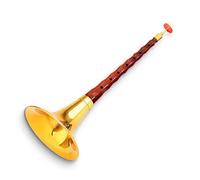 Set Di Strumenti Musicali Suona Con Palo In Legno Di Sandalo Per Principianti Suona Corno Con Accessori Suona per Principianti (Color : B flat)