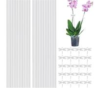 Set di supporti per piante da arrampicata - 20 portavoce in acrilico trasparente, clip per cravatte, riutilizzabili | Telaio leggero con clip da 20x, per il giardinaggio decorativo di paletto
