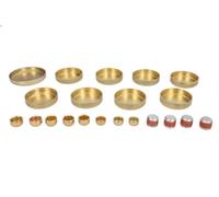 Set di tappi antigelo DNJ FPS3101 GMC YUKON 5.7 1991-1995