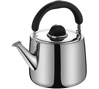 Set di tazze da tè Set di tazze da caffè Bollitore in acciaio inossidabile 304 Bollitore Bollitore a gas Fornello a gas Teiera per la casa Tazza da tè e piattino Set (Dimensioni: 7L) (2,5 L)