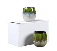 Set di tazzine da caffè espresso in ceramica Kiln - Tazza da tè giapponese - Tazza panciuta creativa - Rosso forno - Confezione da due - 101-200 ml(Kiln Green 2pc,170ml)