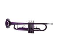Set di trombe, sostituzione completa delle trombe in si bemolle per l'apprendimento della musica(Viola)