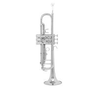 Set Di Trombe Standard In Sib Guanti Trombe Dipinte In Oro Strumento Per Principianti E Studenti(Silver)