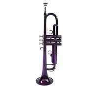 Set di trombe, trombe in si bemolle in ottone con custodia per l'apprendimento della musica(Viola)