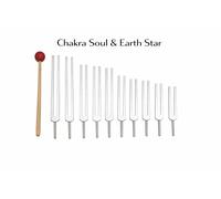 Set Di Tuning Fork A 9 Pezzi Comprende Earth Star (Low OM) E Soul Star