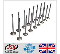 Set Di Valvole Di Aspirazione E Scarico Per Mercedes-Benz OM651 2.2 CDi 16 Pezzi