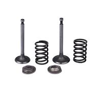 Set di Valvole e Molle di Ritenzione per Honda GX340 GX390 11HP 13HP Motore a Benzina Generatore Tagliaerba Pompa dell'Acqua