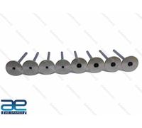 Set Di Valvole Testa 0310DC0040N 0310DC0050N Per Bolero Scorpio Thar Xylo AEs