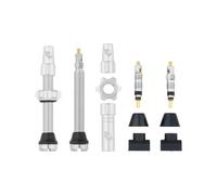 Set di valvole tubeless wolf tooth presta argento