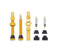 Set di valvole tubeless wolf tooth presta dorate