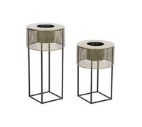 E_0002_S3044421 Dkd Home Decor Set di vasi da fiori DKD Home Decor 33 x 33 x 67