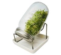 Set Di Vasi Per Germogli Con Supporto E Ciotola