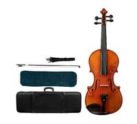 Set Di Violino 4/4 Tono Aperto, Legno Di Abete Rosso Selezionato, Fiori Intagliati, Tono Ricco, Bellissimo Set Artigianale