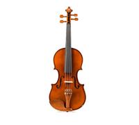 Set Di Violino Per Principianti Pratica Di Test Delle Prestazioni Del Violino In Legno Massello 4/4 Strumento Musicale Occidentale Con Asciugatura All'aria Naturale Con Custodia Per Violino Triangolar