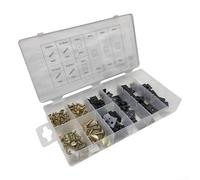 Set di viti con clip a U, 170 pezzi, kit di montaggio per cruscotti, pannelli interni e paraurti, chiusure in metallo, uso industriale