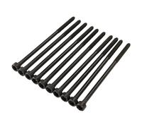 Set di viti della testa del cilindro Ribe CV M10 X 1,25 L=220 mm 60665425