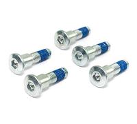 Vite Disco Freno Set Anteriore per Suzuki GS GSF GSX Gsxr RF Rgv Sv TL Vl Vz VX