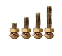 Set di viti e dadi M3M4M5M6, viti a testa tonda con testa a croce piena e denti piatti Shimorteeth(20mm,M6(10Pcs))