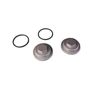 Set di viti for coperchio valvola, 2 pezzi, compatibili con YBR125 YB125 TTR125 XT125 125cc, guarnizione for coperchio testata cilindro motore
