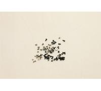 Set Di Viti Lenovo Chromebook L14 Gen 3 C14 Gen 1 5S10Z89197