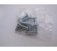 Set Di Viti Per Serratura Porta Porsche 356 Pre A / A (5 Fori) (10)