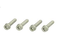 Set di viti, puleggia albero motore CONTITECH MS17 per A3 (8L1) 1.9 1996-2001