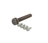 Set di viti, puleggia albero motore CORTECO 80005272