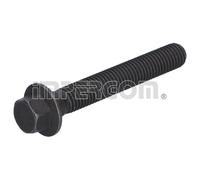 Set di viti, puleggia albero motore IMPERGOM 41035