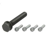 Set di viti, puleggia albero motore per CRAFTER 30-50 Furgone (2E_) 2.5 2006-
