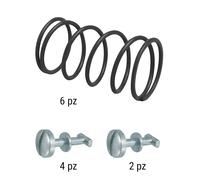 Set di viti RMS incl. molle per copertura laterale, 2x corto, 4x lungo, 6x molle