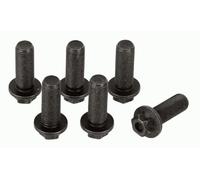 Set Di Viti SACHS 1874 000 045, Volano