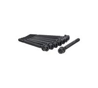Set di Viti Testata Cilindri M11 137 MM TRISCAN Adatto A per Altre Cose Audi A6