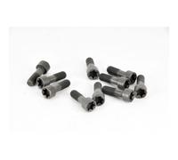 Set di viti, volano LUK 411 0125 10