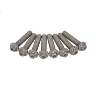 Set di viti, volano LUK 411 0183 11 per JAGUAR S-TYPE II (X200) 2.7 2004-2007
