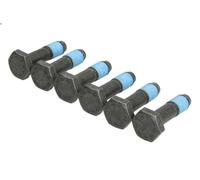 Set di viti, volano LUK 411 0239 10 per FIAT STILO (192_) 1.9 2003-2006
