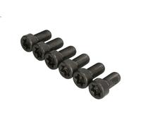 Set di viti, volano LUK 411 0256 1 per BMW 1 (E87) 2 2004-2007
