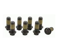 Set di viti, volano SACHS 1874 000 072