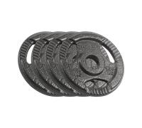 Rebel Set di pesi in ghisa 4 x 1,25 kg foro 31 mm disco con maniglie RBA-2132