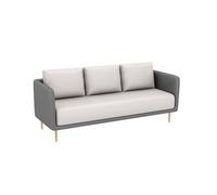 Set divano da reception, stile casual, con tavolo, per caffetterie e sale da tè, elegante area salotto, design salvaspazio (230 x 128 cm)