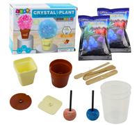 Set educativo Coltivazione dell'albero di cristallo magico